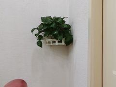 -小老板海鲜酒家(董家渡店)