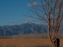 -野鸭湖国家湿地公园