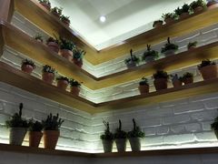 -翠華餐廳(浦东机场T1店)