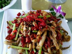 -正阳春鸭子楼(汉沽店)