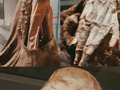-巴音郭楞蒙古自治州博物馆