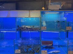 -老宋家鱼馆(北滨路店)