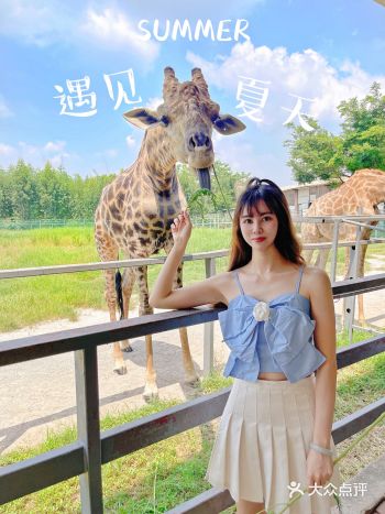 东莞亲子游|香市动物园一日游超详细攻略