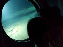 -白鹤梁水下博物馆