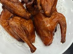 -鸽鸟轩(石岐店)