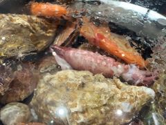 -大锅强·蒸海鲜青岛菜(吾悦广场店)