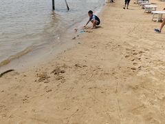 -碧海金沙