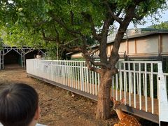 -丽泽山庄·生态怀柔菜·虹鳟鱼(红螺寺店)