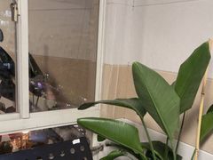 -TEMPO 音乐(五角场店)