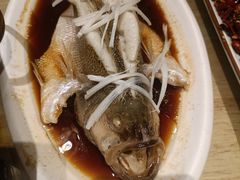 清蒸鲈鱼-小四川菜馆(托乐嘉店)
