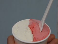 -DIP in GELATO(富民路店)