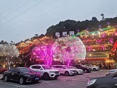 -枇杷园食为鲜火锅(南山店)