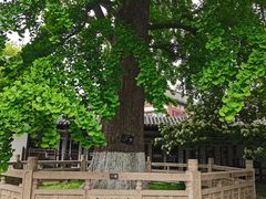 -常熟方塔园