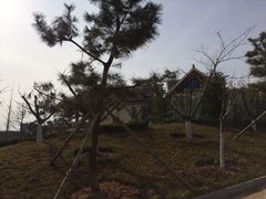 iphone_upload_pic-汤泊温泉度假村
