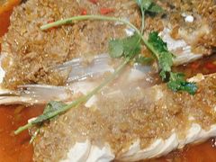 -蜀香格格•剁椒鱼头(龙西店)