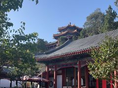 -宫事颐庭·老佛爷贵寿下午茶(颐和园店)