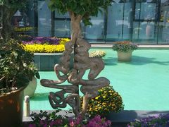 -南通洲际绿博园