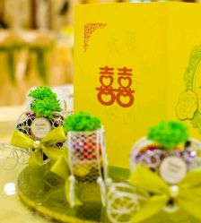 -保定金沙芝柏婚礼策划