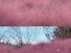 -南通洲际绿博园