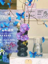 -MLP美丽派·问题肌疗愈中心
