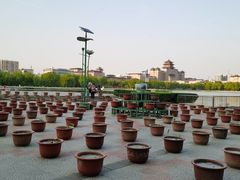 -莲花池公园