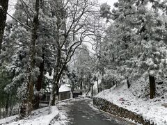 -莫干山风景区