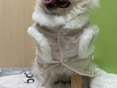 -美联众合动物医院·24h转诊中心