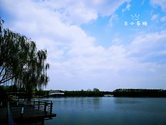 -大兴滨河森林公园