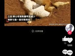 -昆明动物园