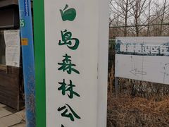 -长白岛森林公园