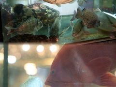 -叙亨轩海鲜火锅