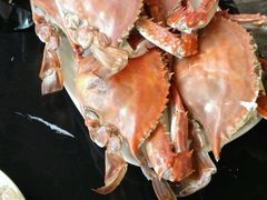 -大锅强·蒸海鲜青岛菜(吾悦广场店)