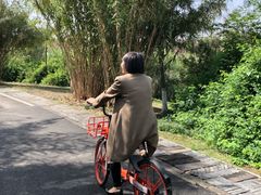 -白鹭湾湿地公园