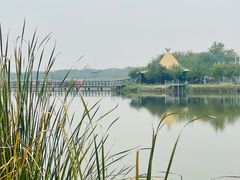 -西青郊野公园