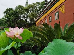 -宝光寺