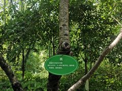 -杭州半山国家森林公园