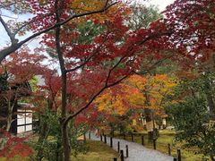 -清凉寺