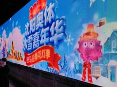 -沈阳奥体冰雪嘉年华