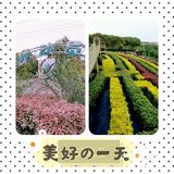 萌娃的农场时光