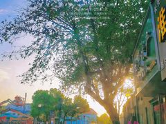 -杭州市第一人民医院(湖滨院区)