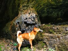 -龙门涧景区