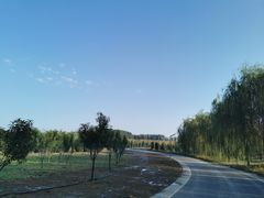 -东郊湿地公园