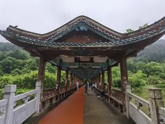 -黔灵山公园