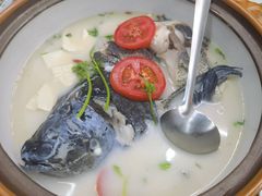 -全乐鱼馆·淳牌有机鱼直营店
