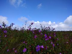 -贵州云顶草原民族风情园