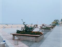 -天津东疆湾沙滩景区