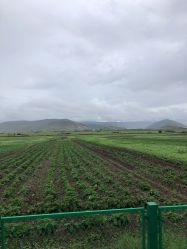-纳帕海依拉草原