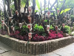 -云南民族村