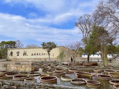 -广富林郊野公园