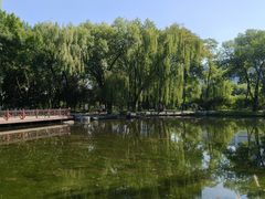 -玲珑塔公园